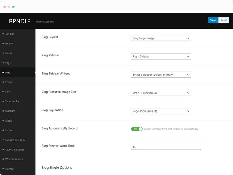 Panel and Customize Options 1 1