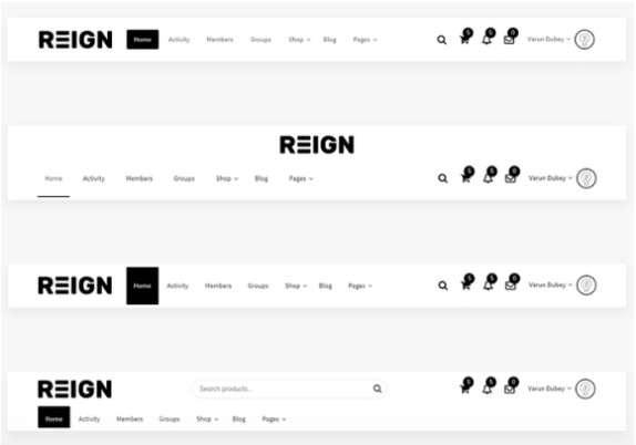 Reign BuddyPress Theme Review header layout