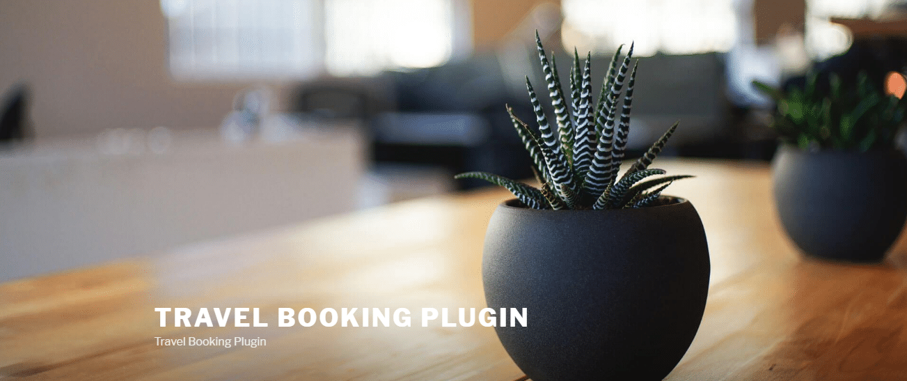 travel booking