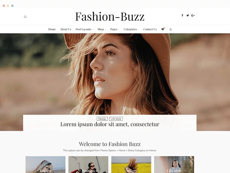 Opt-In for the Best Background Image for WordPress Website in 2026 2 lifestyle theme 2022