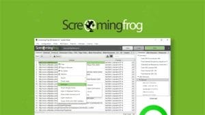 10 Best eCommerce SEO Tools for Business Website in 2026 5 df285818 2c56 4f40 af04 c74c8abd8c64