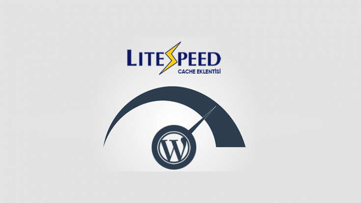 W3 Total Cache vs LiteSpeed Cache: Best Cache Plugin in 2026 3 litespeed cache