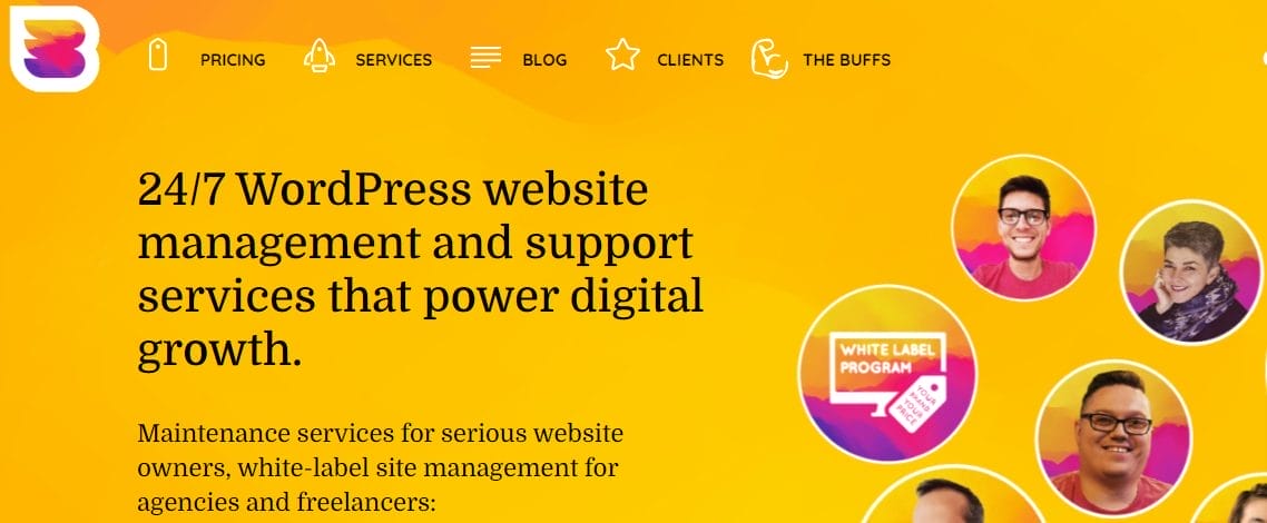 10 Best WordPress Monthly Maintenance Package 2026 3 WP Buffs- WordPress Monthly Maintenance Package